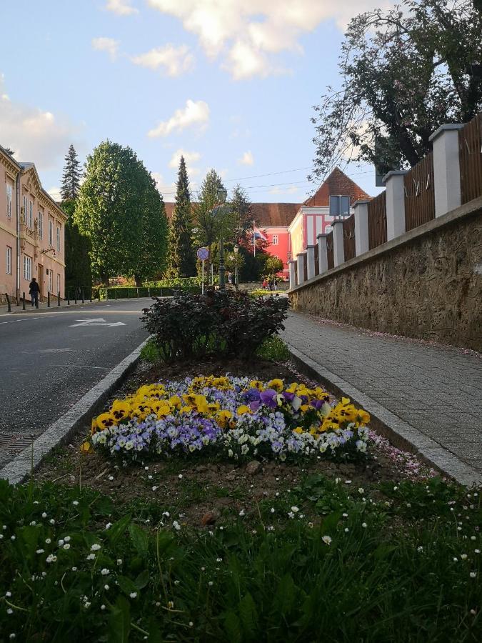 La Dolce Apartment Varazdinske Toplice